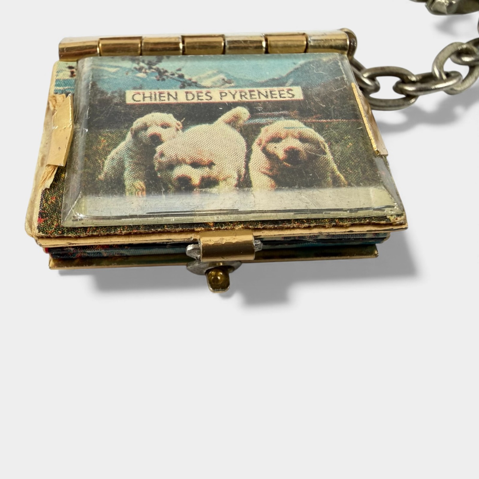 Vintage France Mini Photobook Keychain Chien des Pyrenees