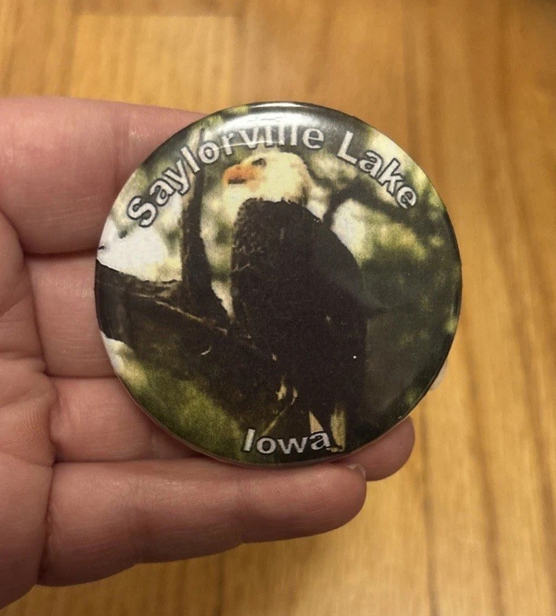 Vintage Saylorville Lake Iowa Bald Eagle Button Pin Souvenir Pinback