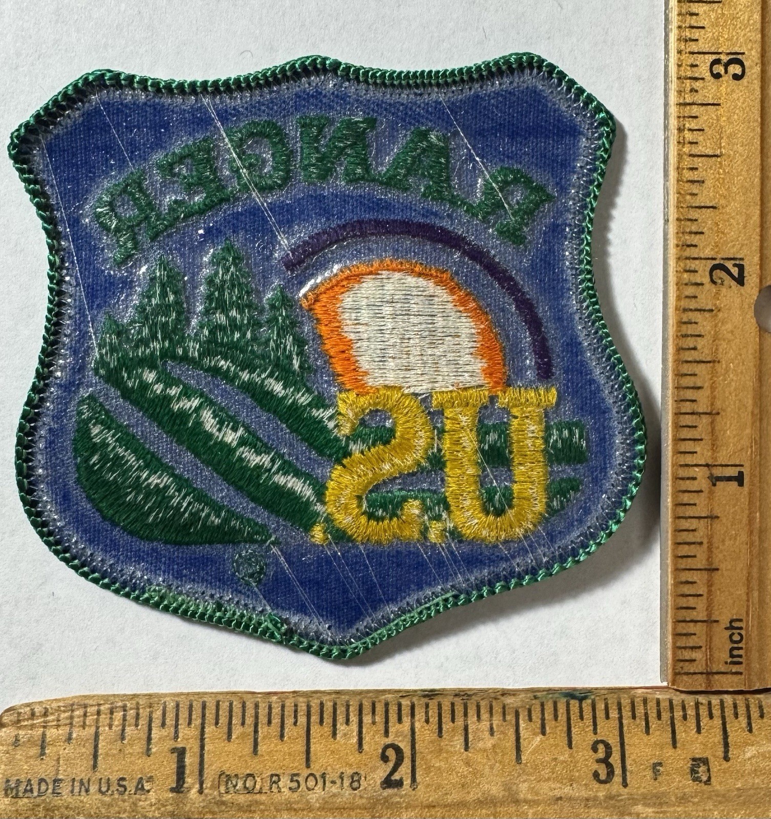 Vintage US Forest Park Ranger Iron On Patch United States Travel Souvenir