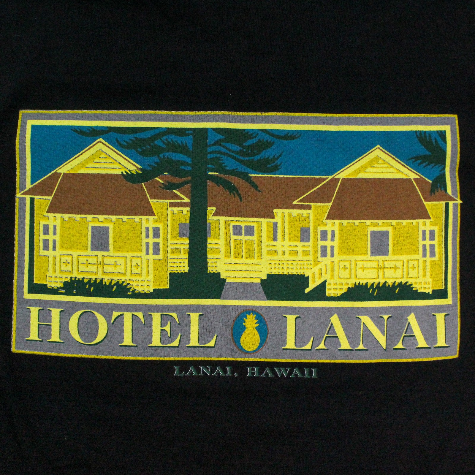 Hanes Hotel Lanai Hawaii T-Shirt Women’s Size L Black Souvenir Tee