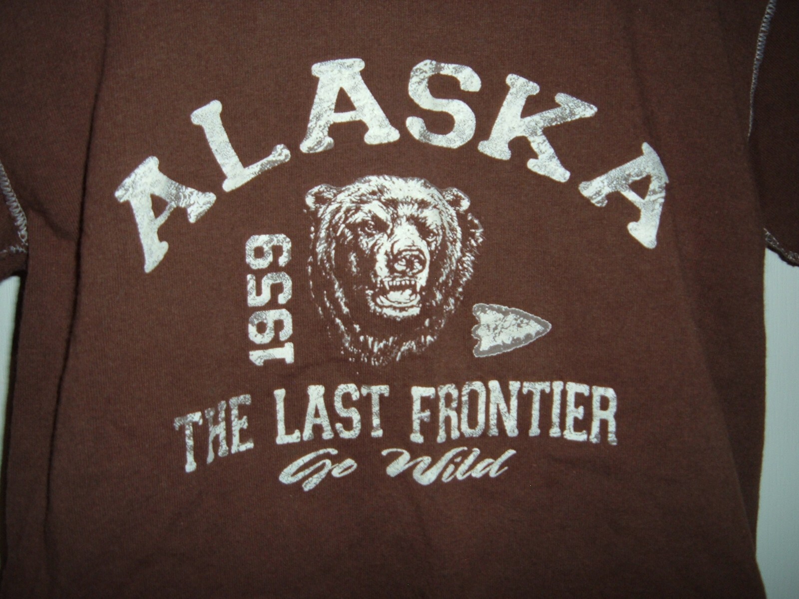 Alaska The Last Frontier Youth Small (6-8) Brown Prairie Mountain Brand T-Shirt