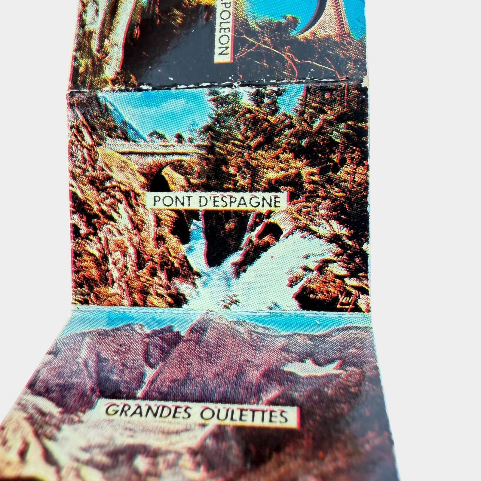 Vintage France Mini Photobook Keychain Chien des Pyrenees