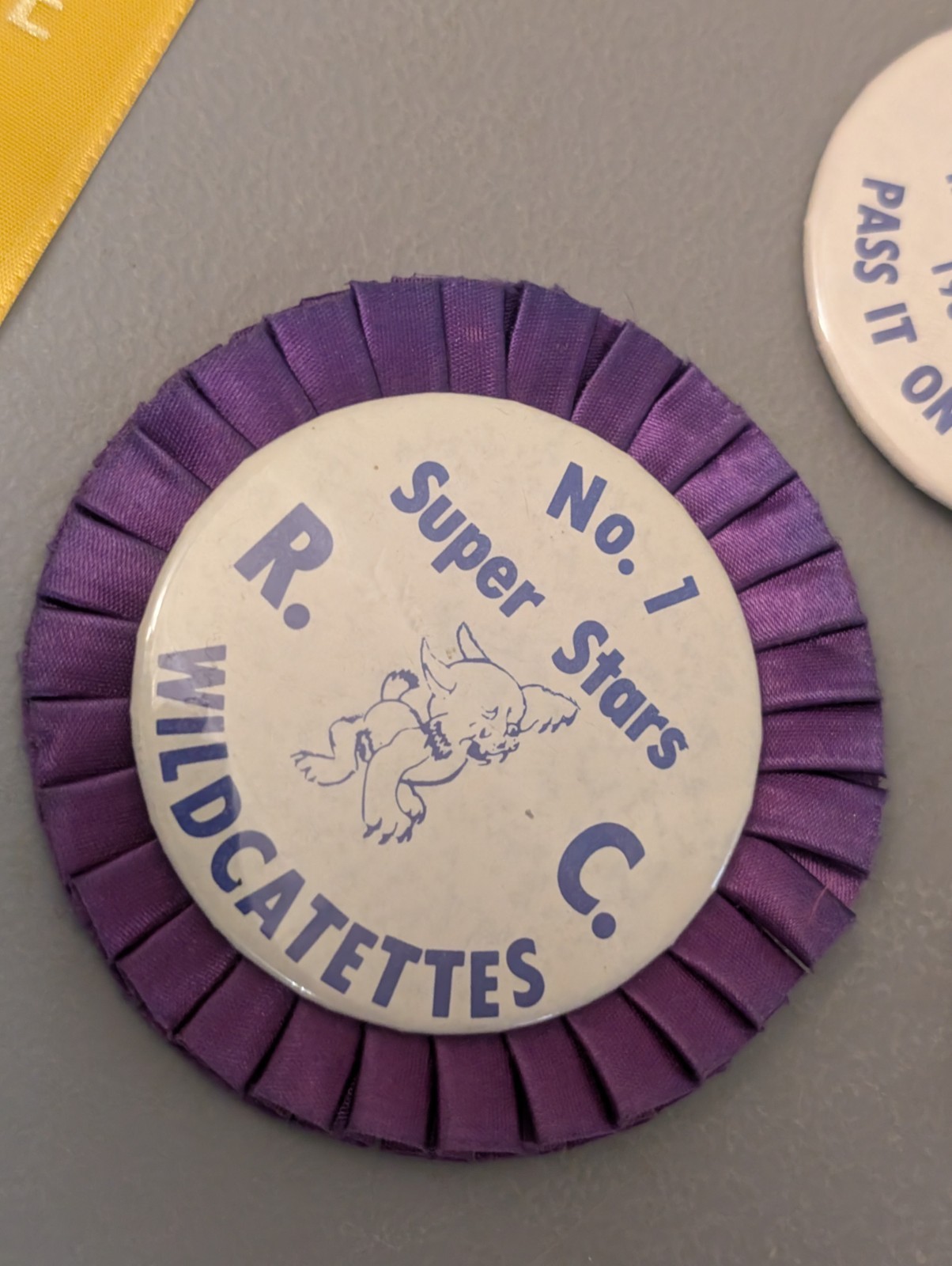 Vtg Rockwell City Iowa Wildcat Button & Ribbon Lot – 1970s 1980s Calhoun County