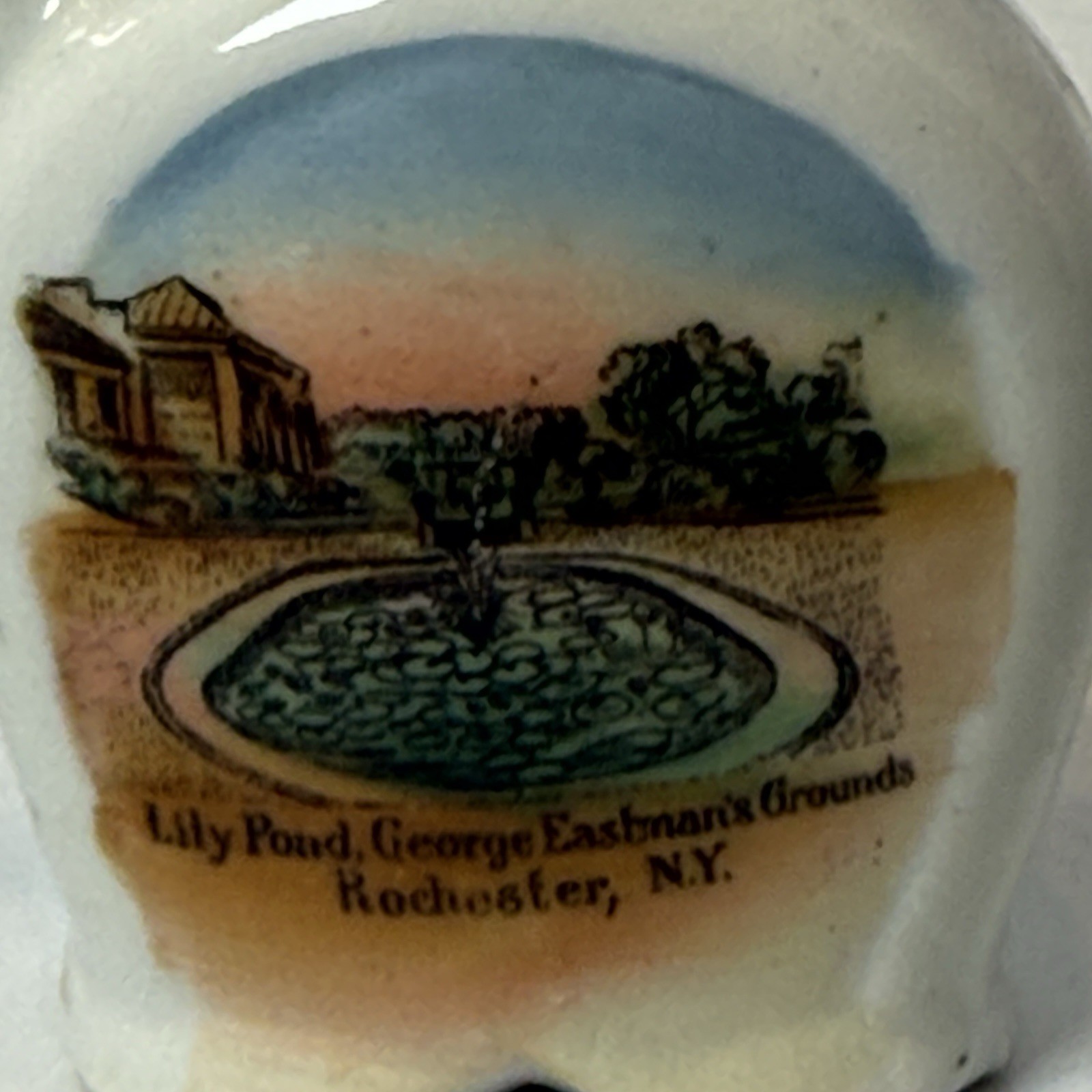 ROCHESTER NY NEW YORK Souvenir Porcelain LILY POND Trinket Gold Creamer