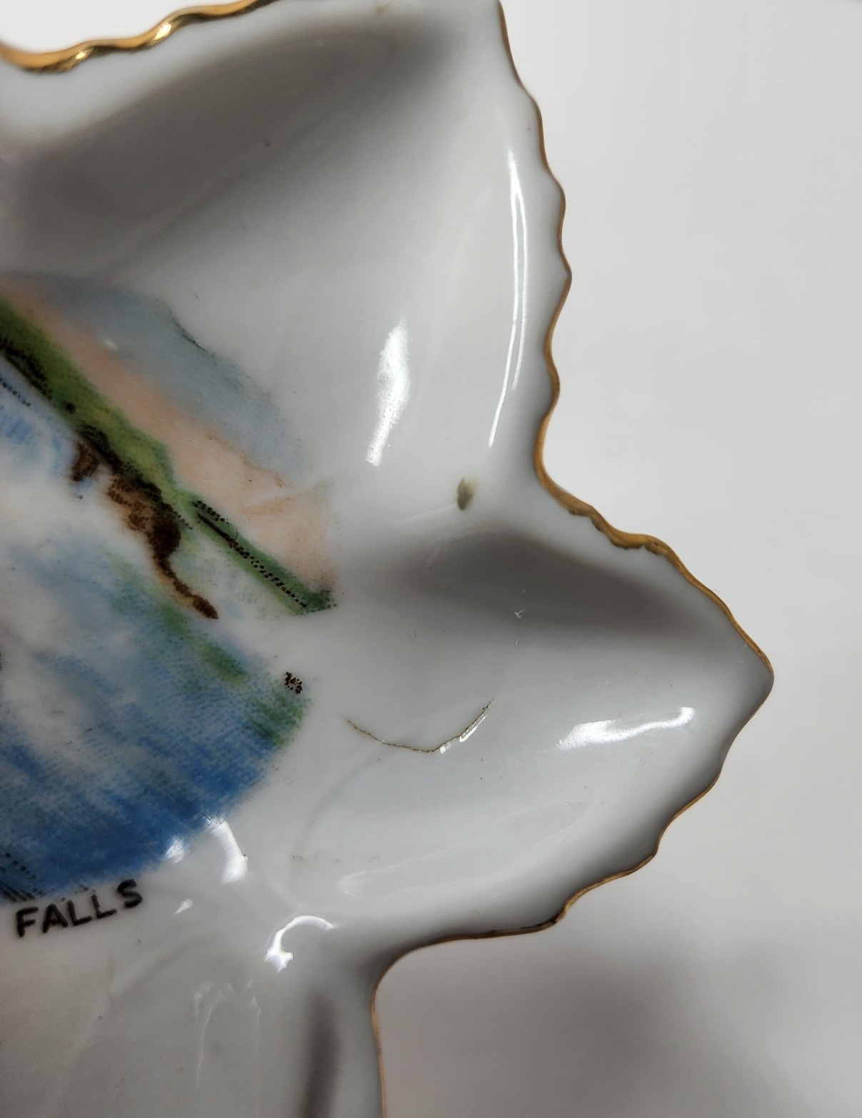Vintage Niagara Falls Souvenir Leaf Dish – General View – Made in Japan [READ]