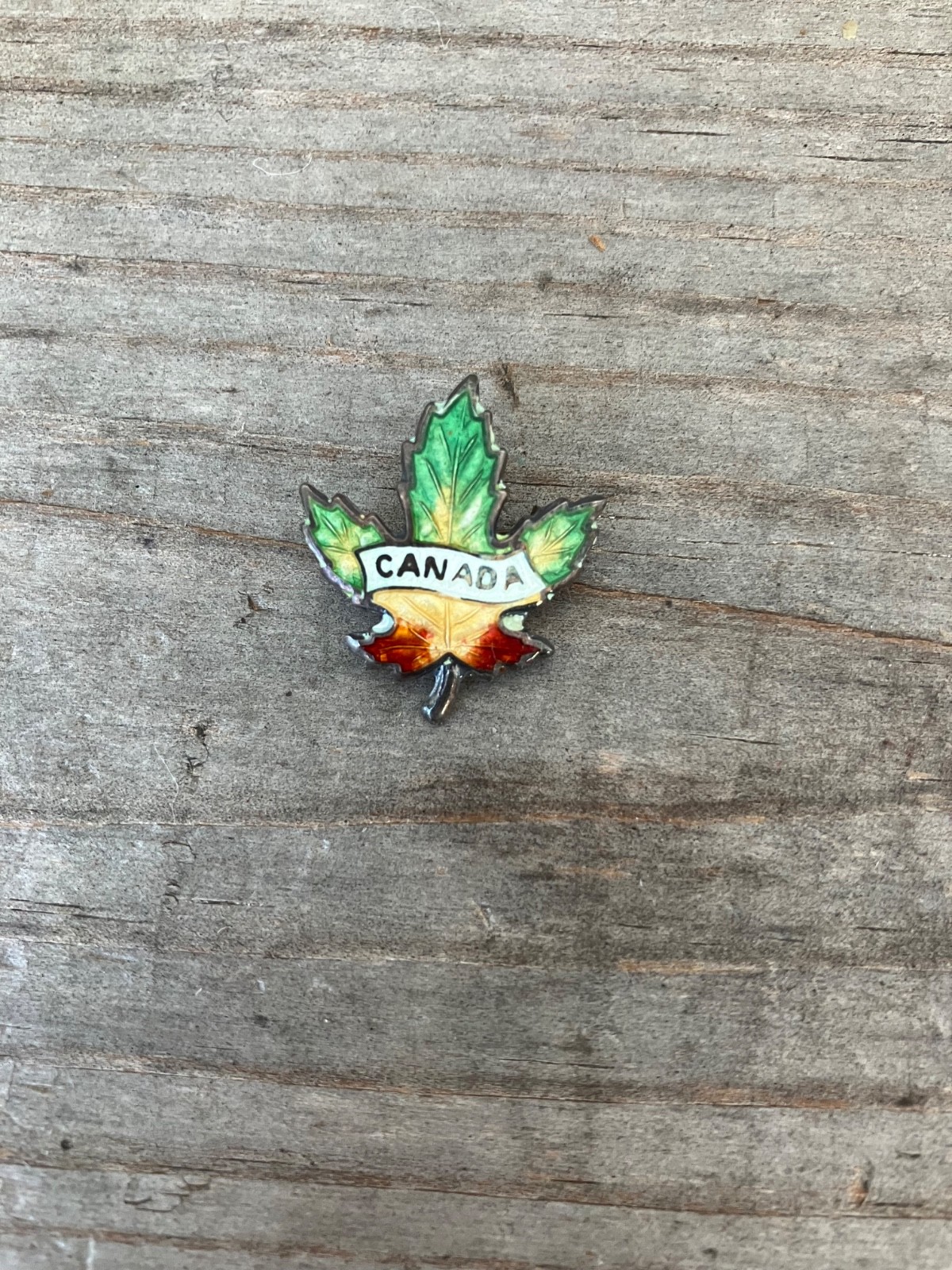 Canada Enamel MultiColor Leaf Pin Sterling Silver Tiny