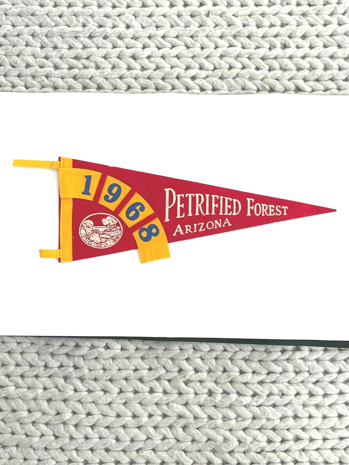 Vintage 1968 “Petrified Forest” Arizona Medium Pennant