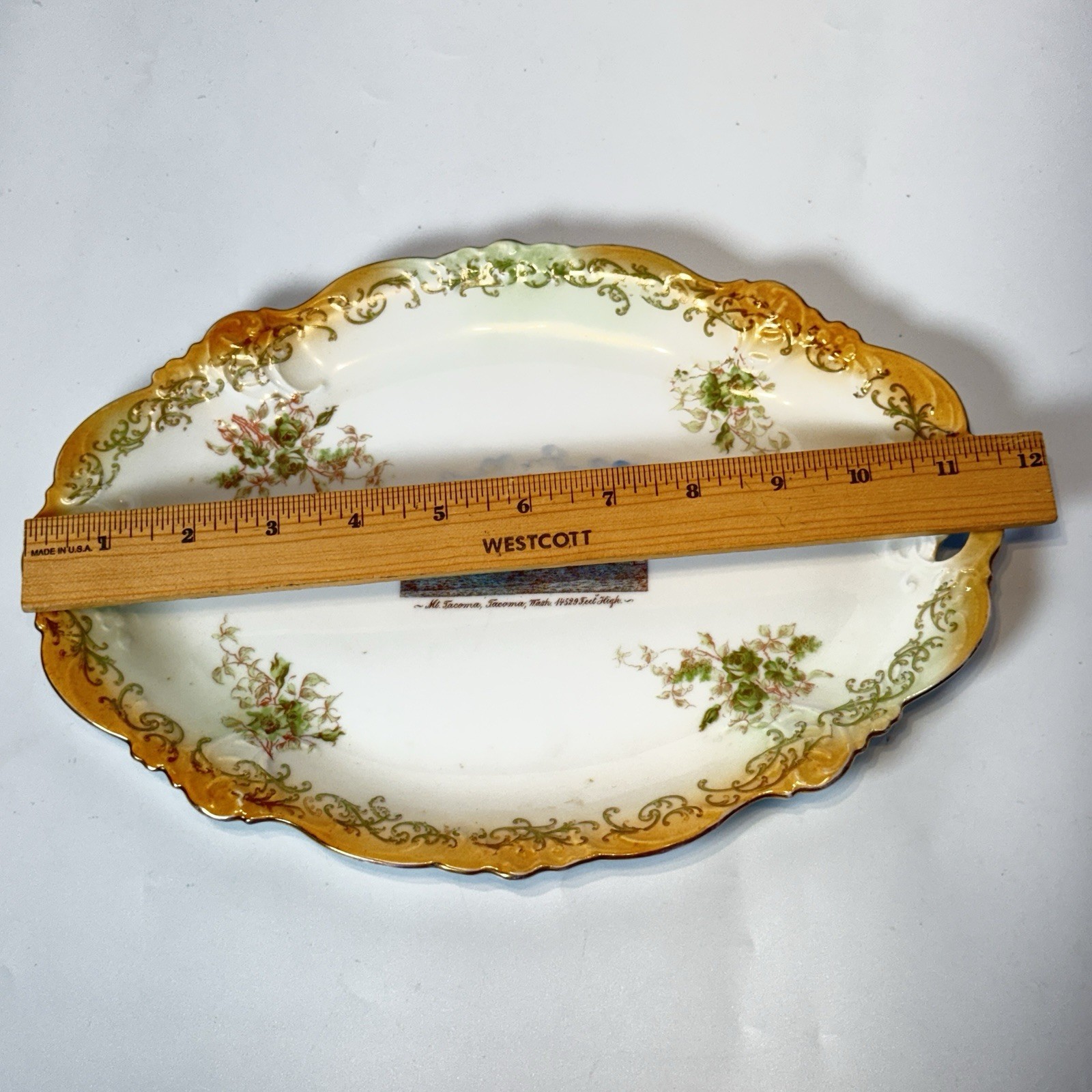 TACOMA WA WASHINGTON Antique MT TACOMA Souvenir TRINKET PAINTED PLATE DISH