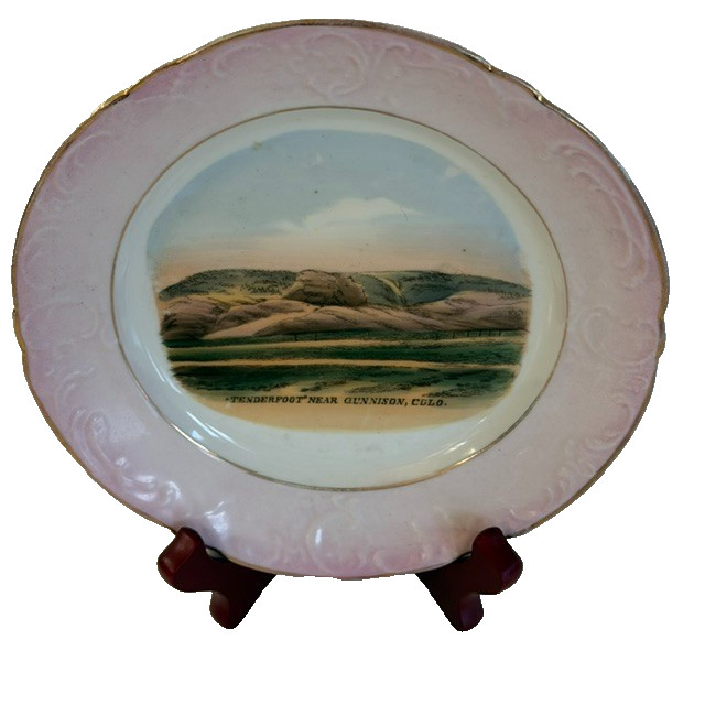 Early 1900s Gunnison Colorado Souvenir Plate Tenderfoot (Hill) Wheelock Germany