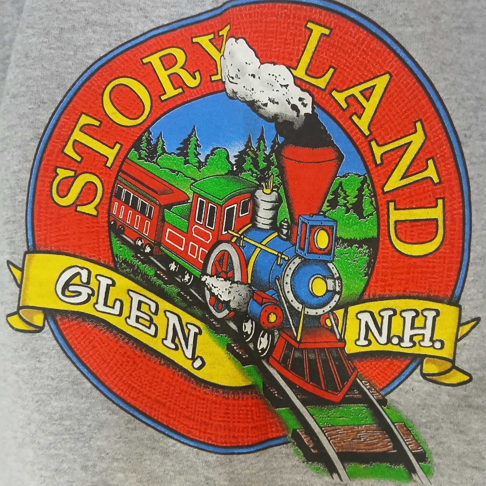 STORY LAND New Hampshire KIDS small T-Shirt White Mountains NH Gray S Child Tee