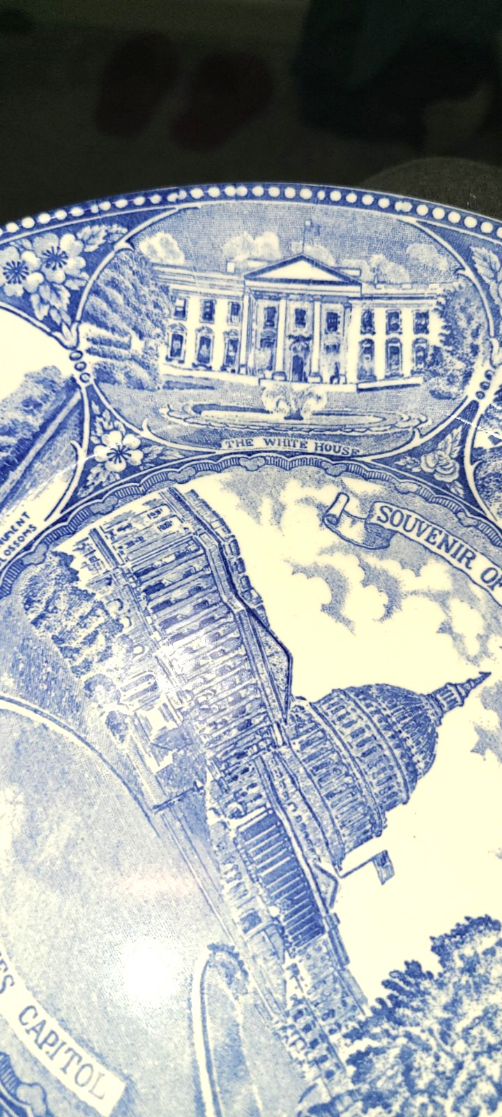 Vintage 10″ Plate Souvenir Washington DC, Blue White United States Capitol