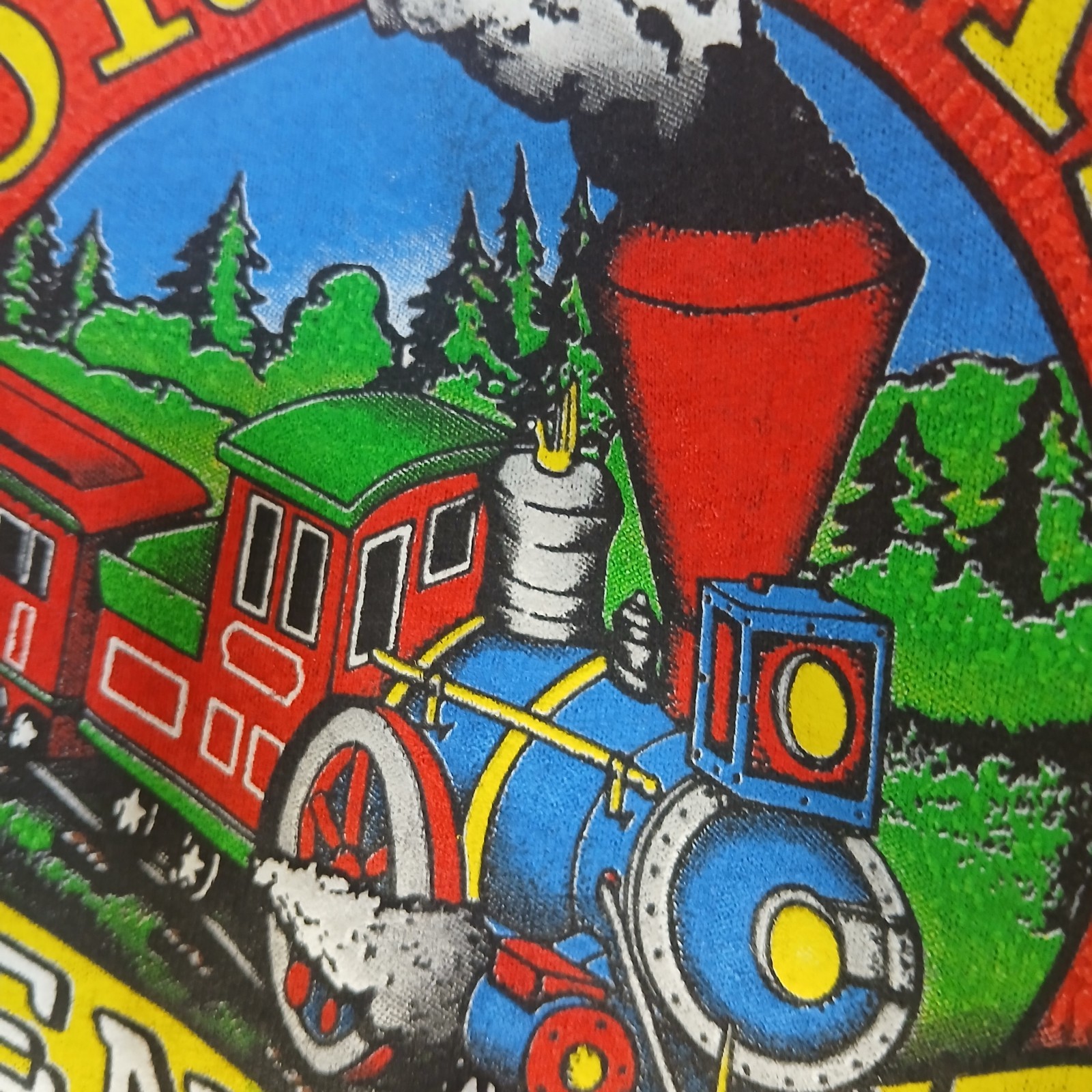 STORY LAND New Hampshire KIDS small T-Shirt White Mountains NH Gray S Child Tee