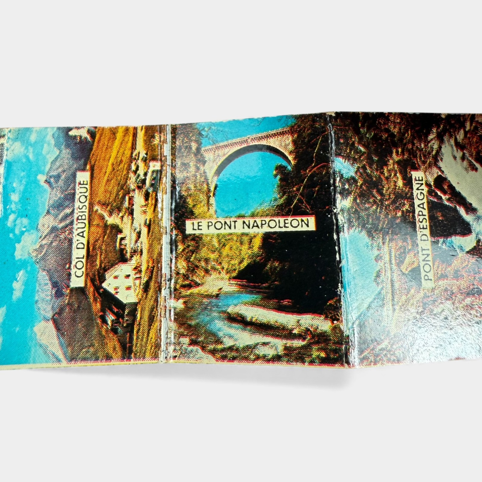 Vintage France Mini Photobook Keychain Chien des Pyrenees