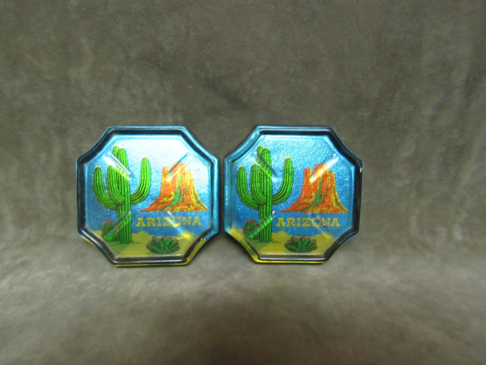 Vintage 1970’s State of Arizona Souvenir Acrylic Resin Coaster Pair w/Blue Sky