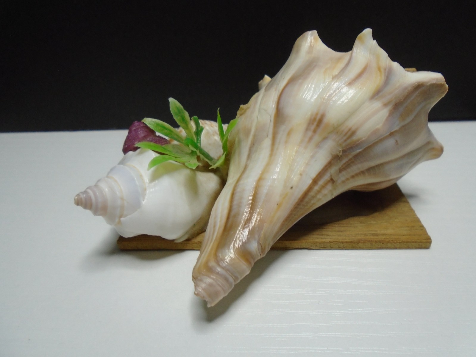 HANDMADE SEA SHELL FLORIDA 2″ X 3.5″ FIGURE UNBRANDED (SF277)