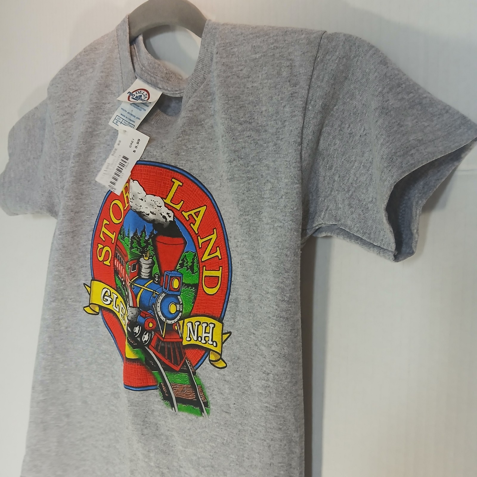 STORY LAND New Hampshire KIDS small T-Shirt White Mountains NH Gray S Child Tee