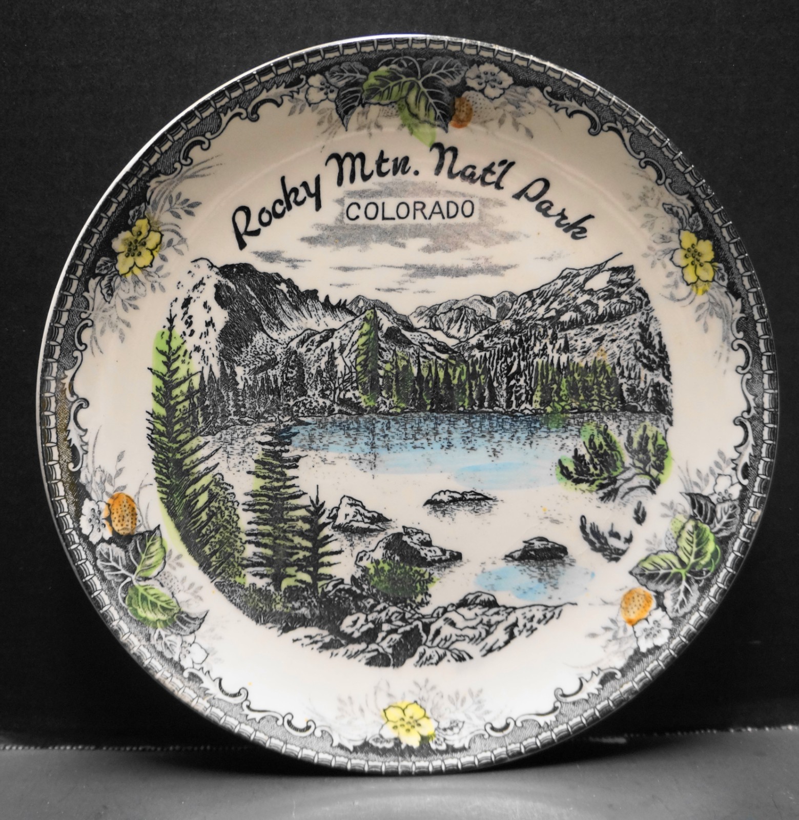 Rocky Mountain National Park Colorado Souvenir Plate Hand Tinted