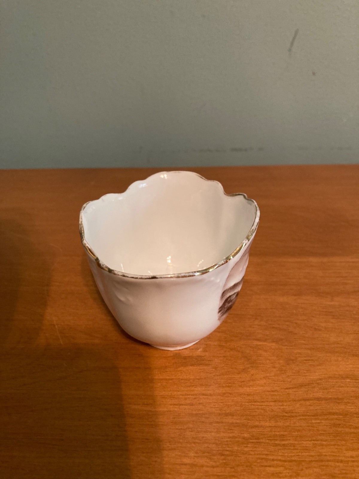 Rare c. 1900 Tucson AZ Souvenir Dish W.J. Corbett Made in Germany