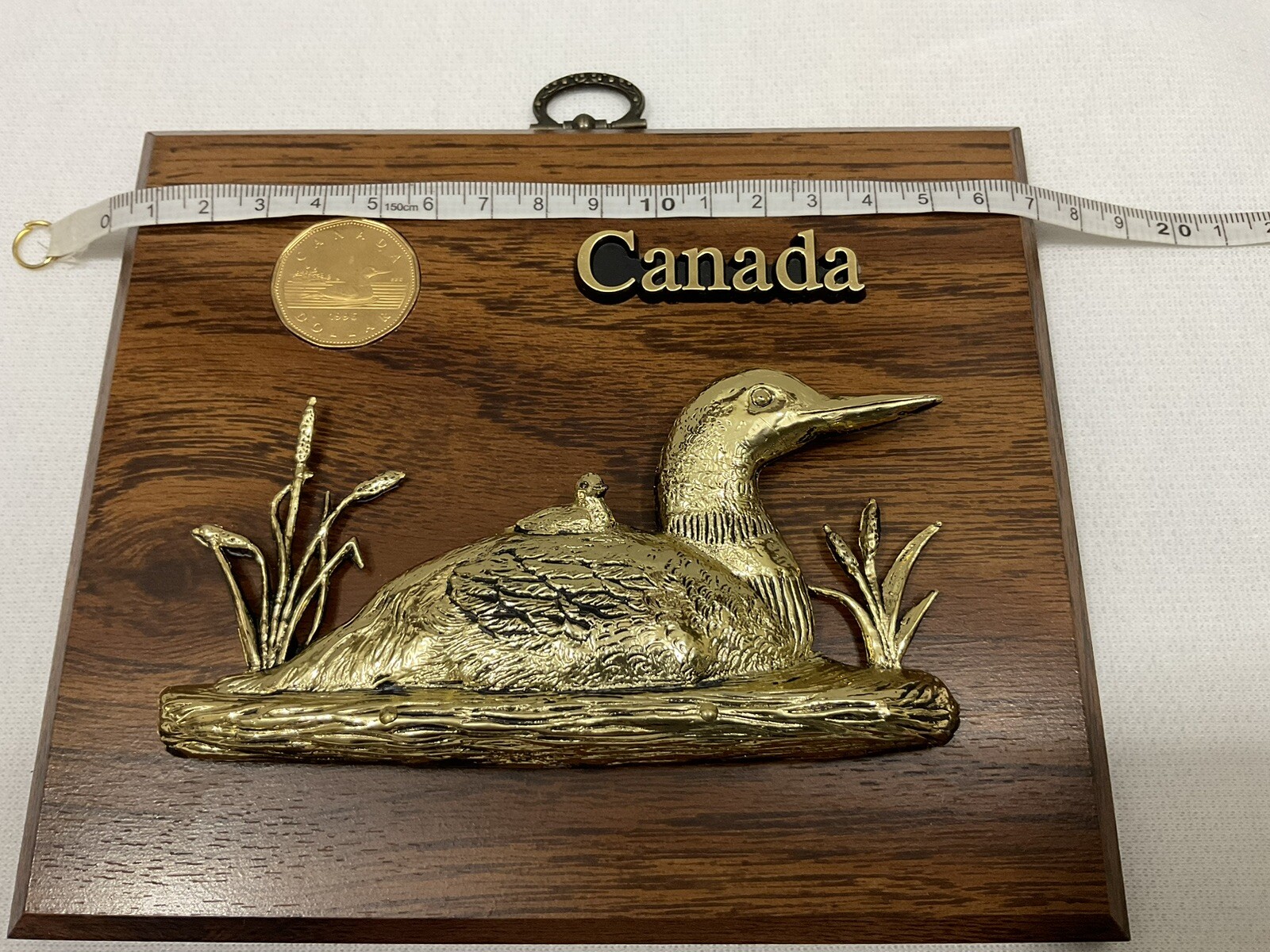 WALL PLAQUE CANADA 1996 Uncirculated Dollar Coin & 3D Duck souvenir on wood