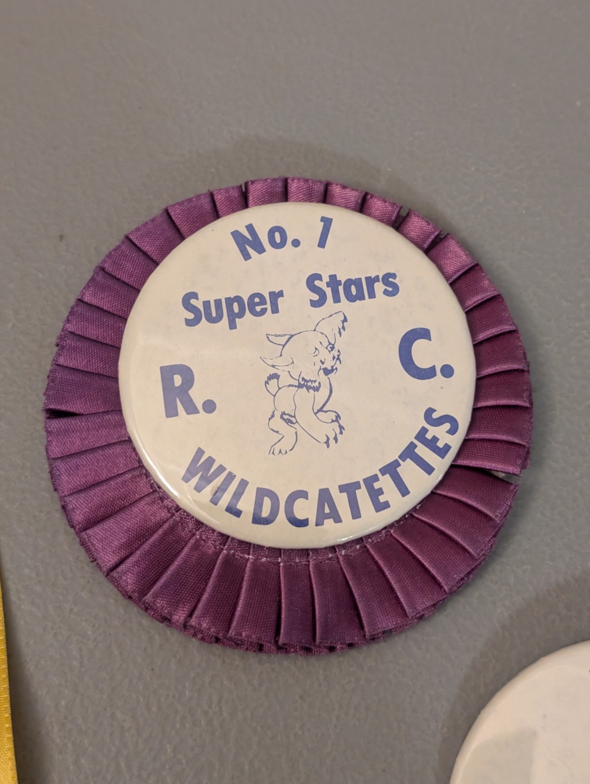 Vtg Rockwell City Iowa Wildcat Button & Ribbon Lot – 1970s 1980s Calhoun County