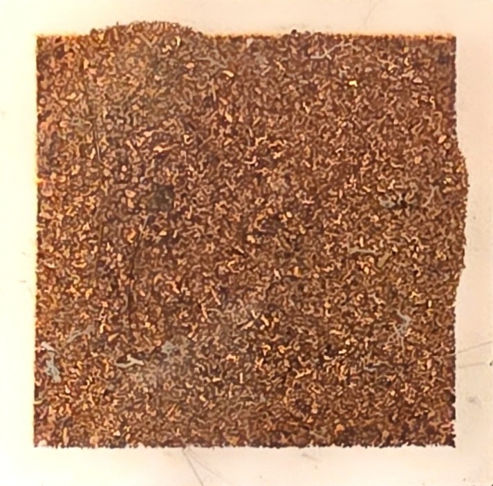 ICG Genuine Statue of Liberty Copper Shavings Relic Authentic Historic Artifact