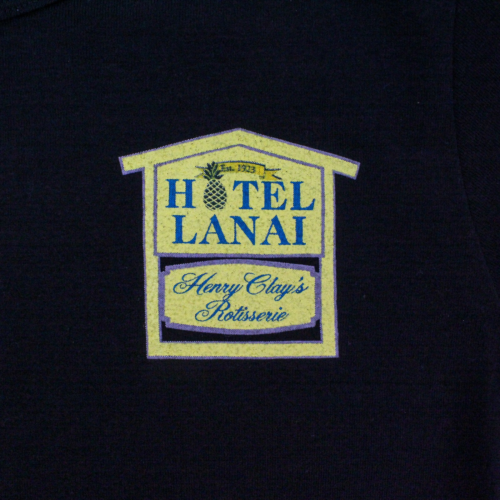 Hanes Hotel Lanai Hawaii T-Shirt Women’s Size L Black Souvenir Tee