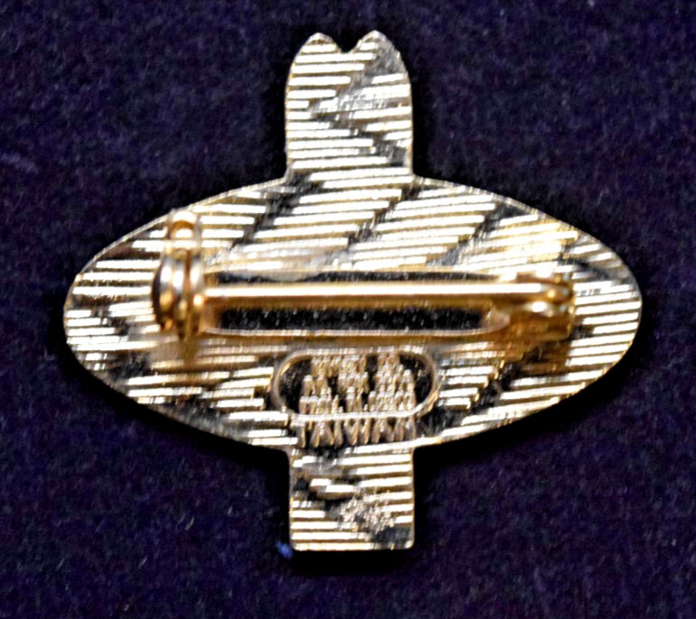 Aspen Ski Resort Area Colorado Green Black Skis Travel Souvenir Ski Lapel Pin