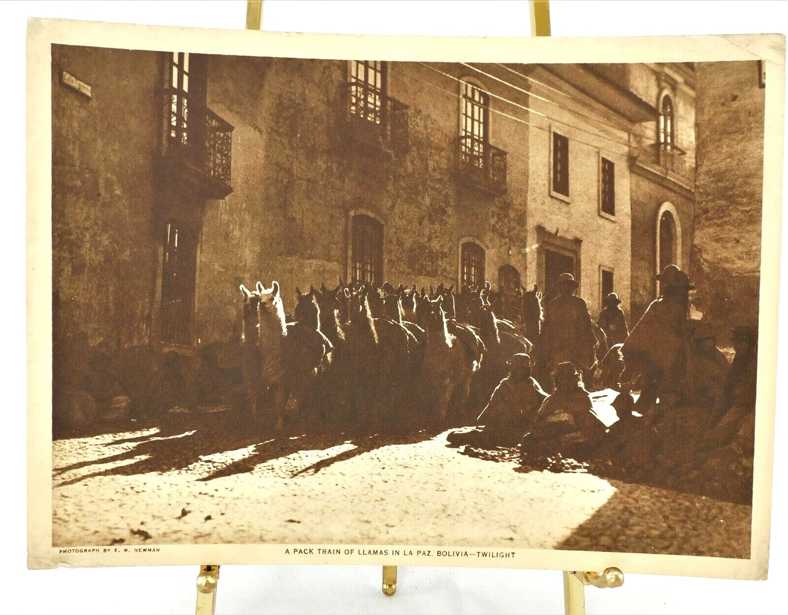 The Mentor 1917 Bolivia Lithographic Prints 3 Pieces Llamas La Paz Oruro Vtg