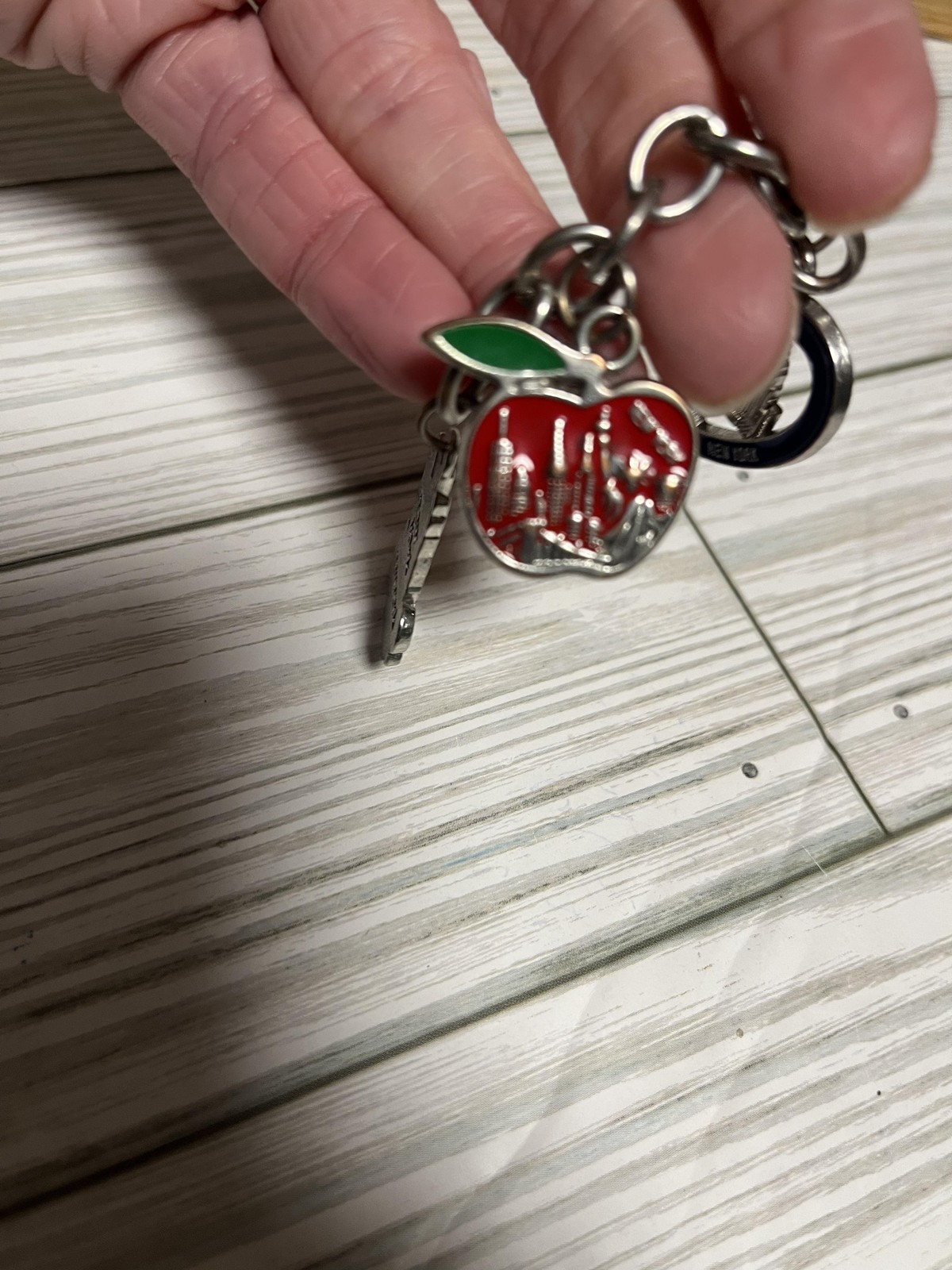 New York City Souvenir Charm Keychain Apple Heart Duck Multicolor NYC Keyring