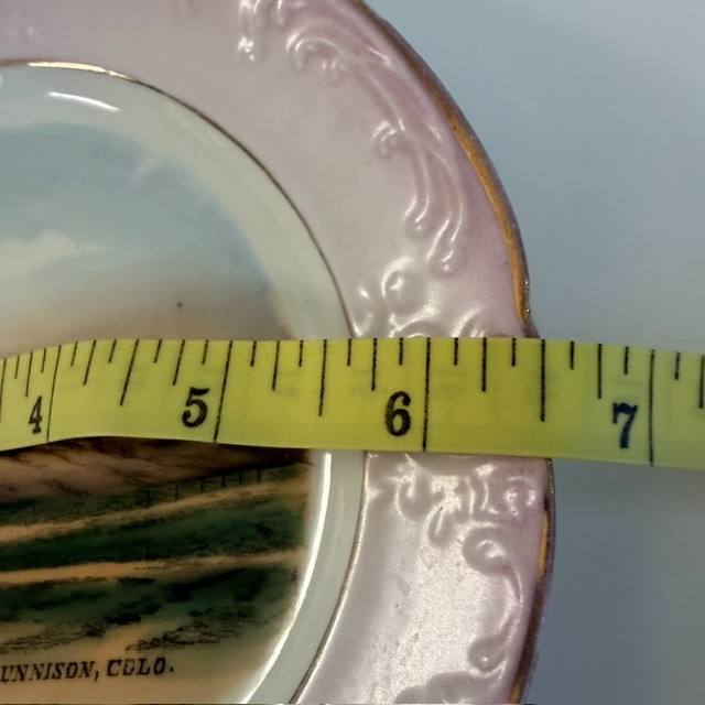 Early 1900s Gunnison Colorado Souvenir Plate Tenderfoot (Hill) Wheelock Germany