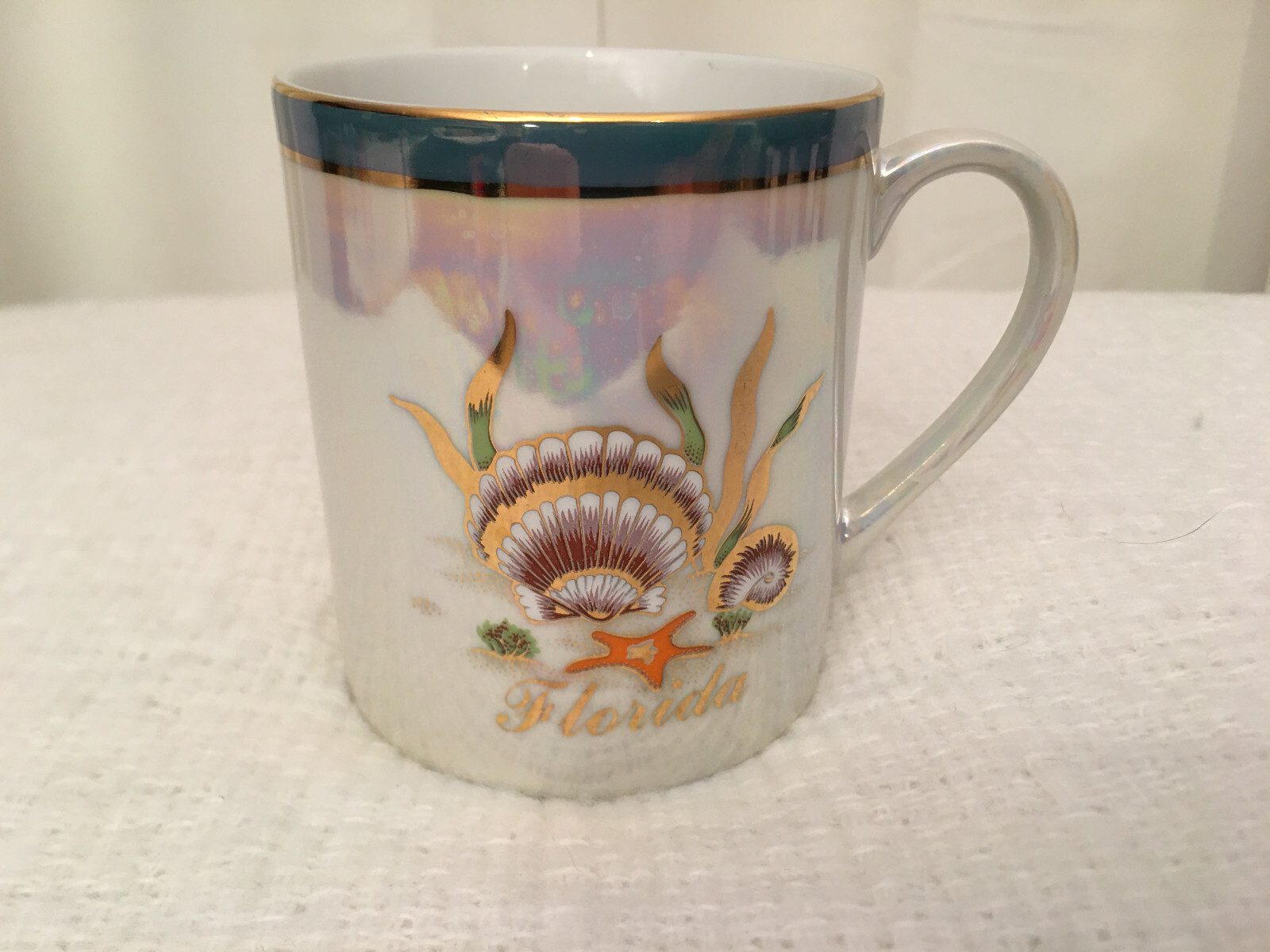 Unbranded Vintage Changable Multi-Colored Florida Souvenir 10 oz. Coffee Cup