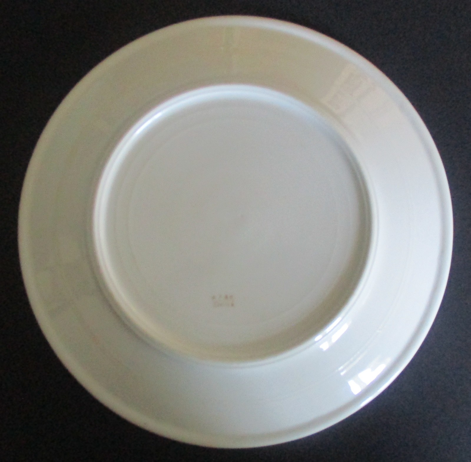 Early 20th Century Souvenir Dinner Plate Greenwood Inn Ellenville New York