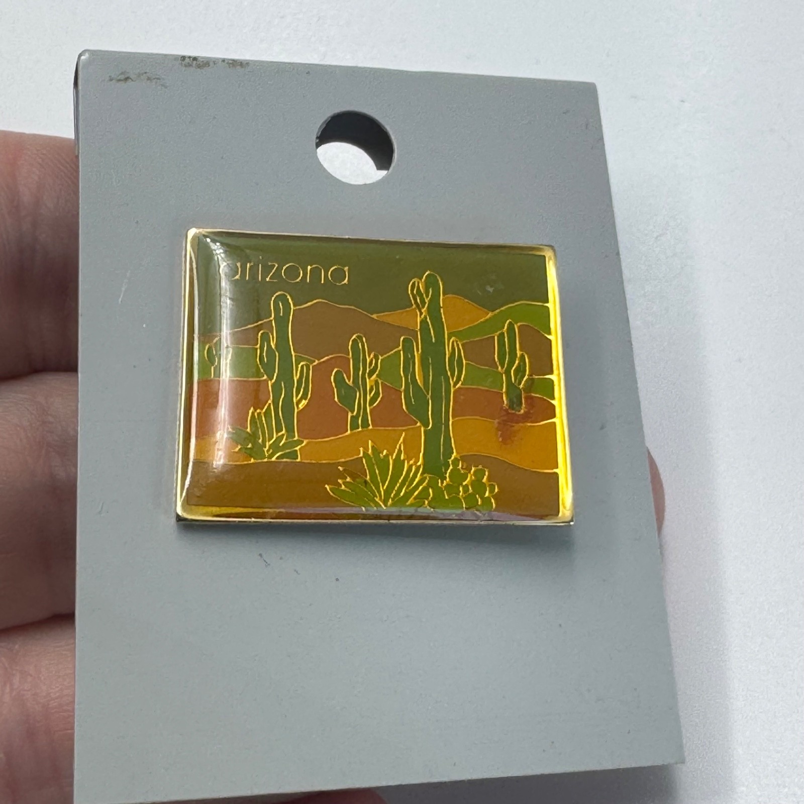 Arizona Desert Saguaro Cactus Scenic Souvenir Enamel Lapel Pin Tourist Pastel