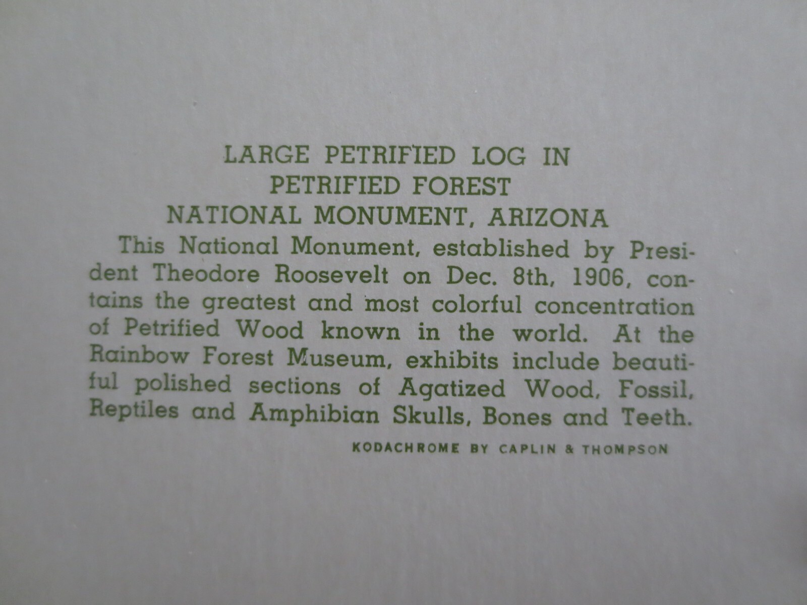 1954 Kodachrome Spiral PETRIFIED FOREST/PAINTED DESERT, ARIZONA Souvenir PHOTOS