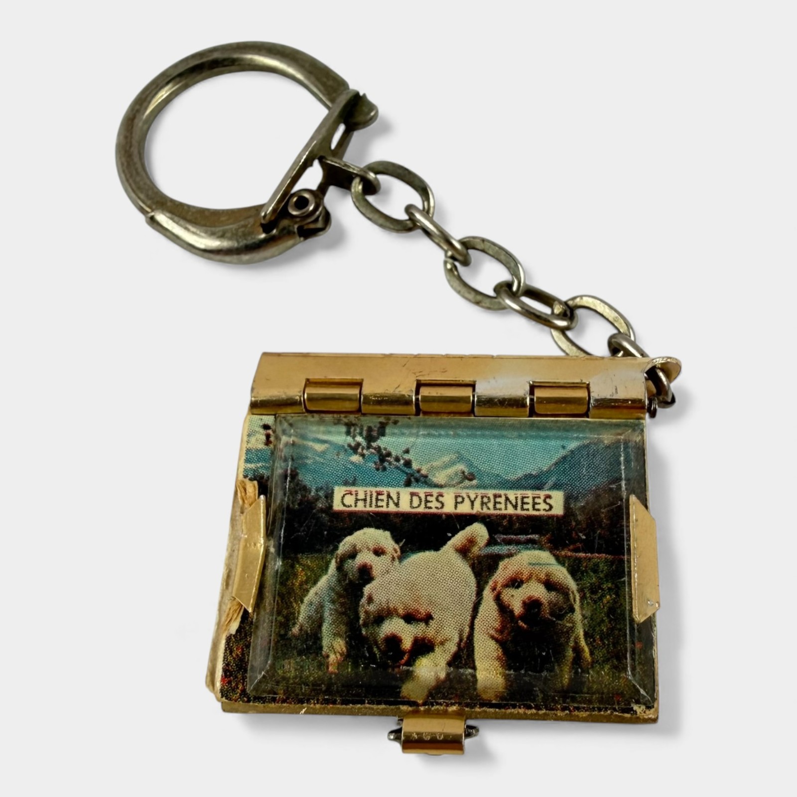 Vintage France Mini Photobook Keychain Chien des Pyrenees