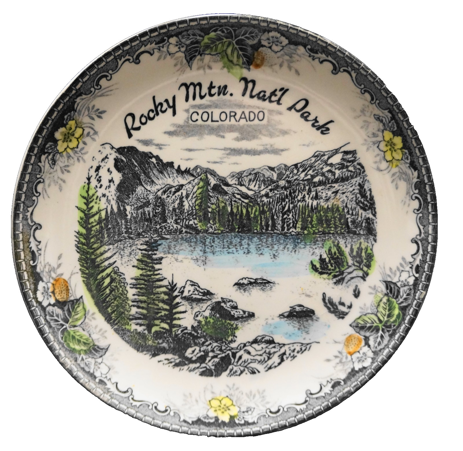 Rocky Mountain National Park Colorado Souvenir Plate Hand Tinted