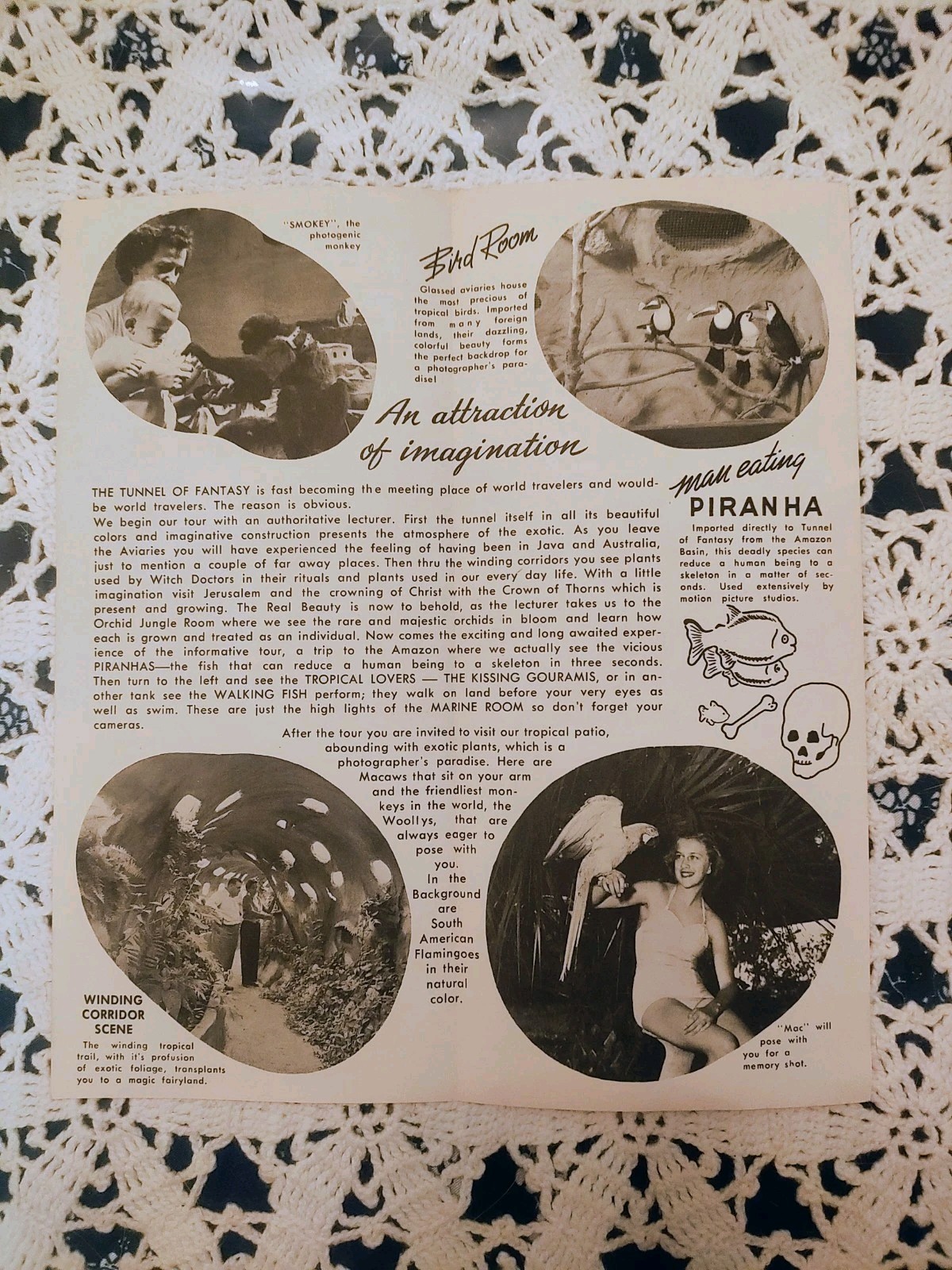 Vintage Florida Attraction Brochure Tunnel Of Fantasy Daytona Beach
