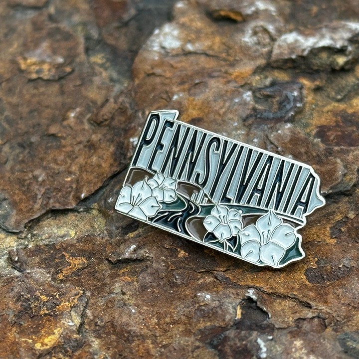 Pennsylvania Enamel Lapel Pin – Collectible State Souvenir