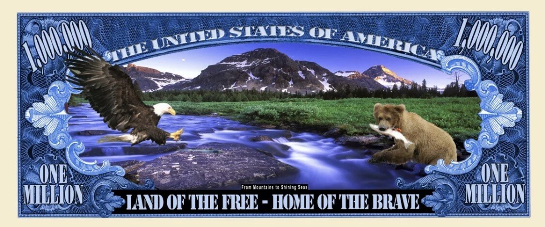 100 Pack America the Beautiful Money Collectible USA Freedom Million Dollar Bill