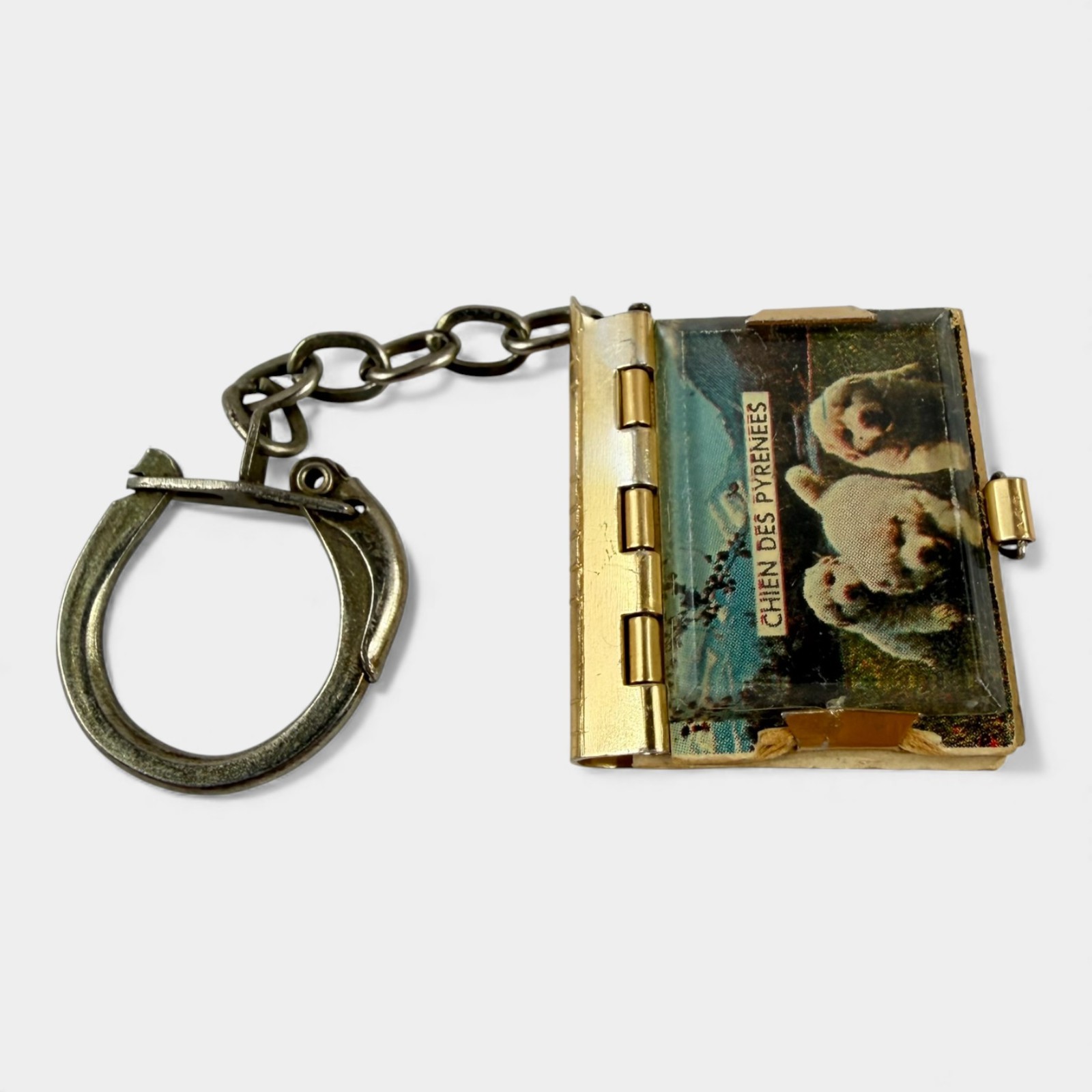 Vintage France Mini Photobook Keychain Chien des Pyrenees