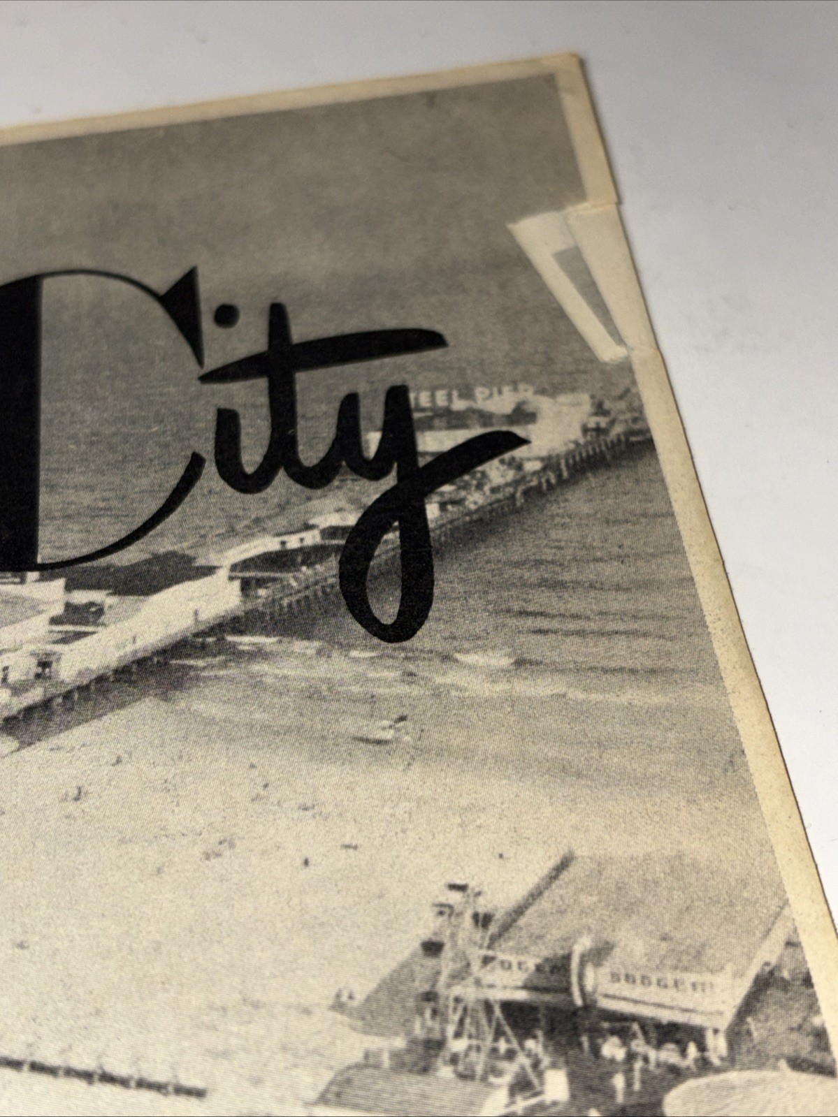 Atlantic City New Jersey 1956 Steel Pier Souvenir Program Guide Diving Horses