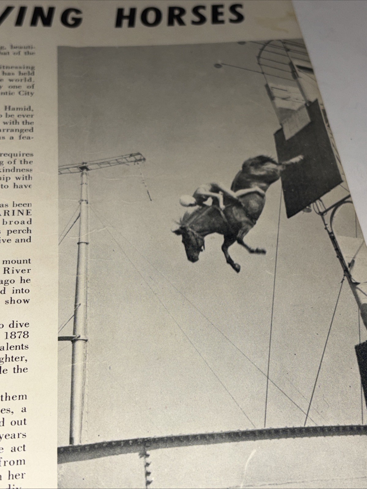 Atlantic City New Jersey 1956 Steel Pier Souvenir Program Guide Diving Horses