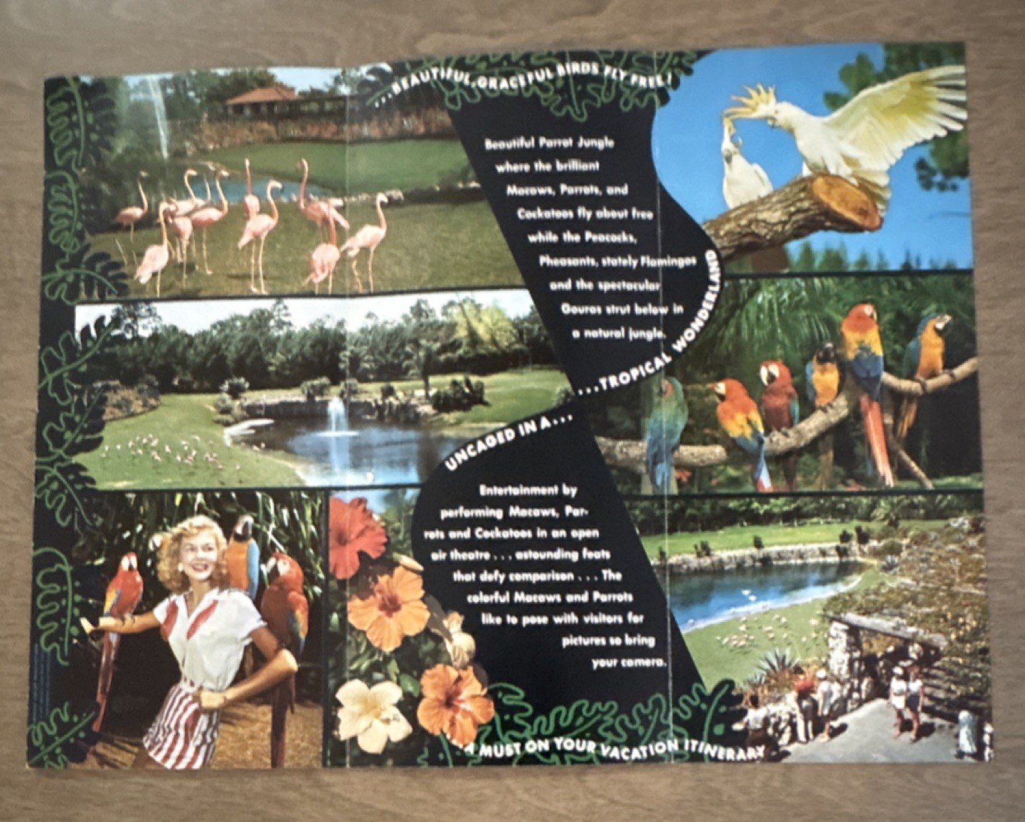 1958 Florida Travel brochures, Post Cards & Guide Book.