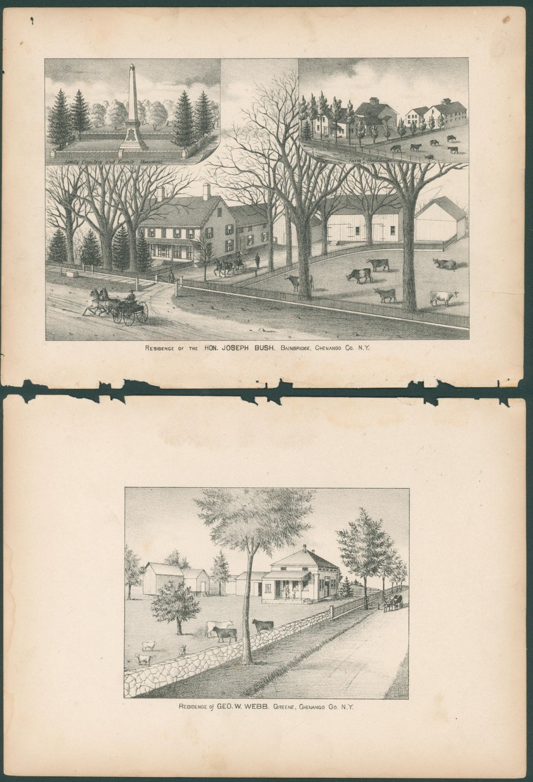c 1875 Chenango County New York Residence Lithograph Prints Joseph Bush Geo Webb