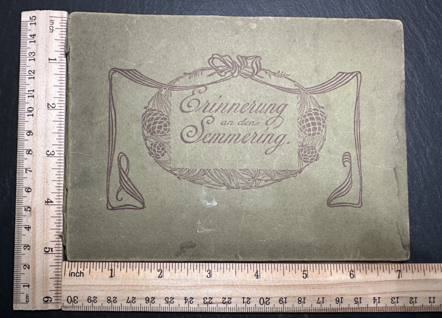 ERINNERUNG AN DER SEMMERING MEMORY OF THE SEMMERING, AUSTRIA IMAGE BOOK H362
