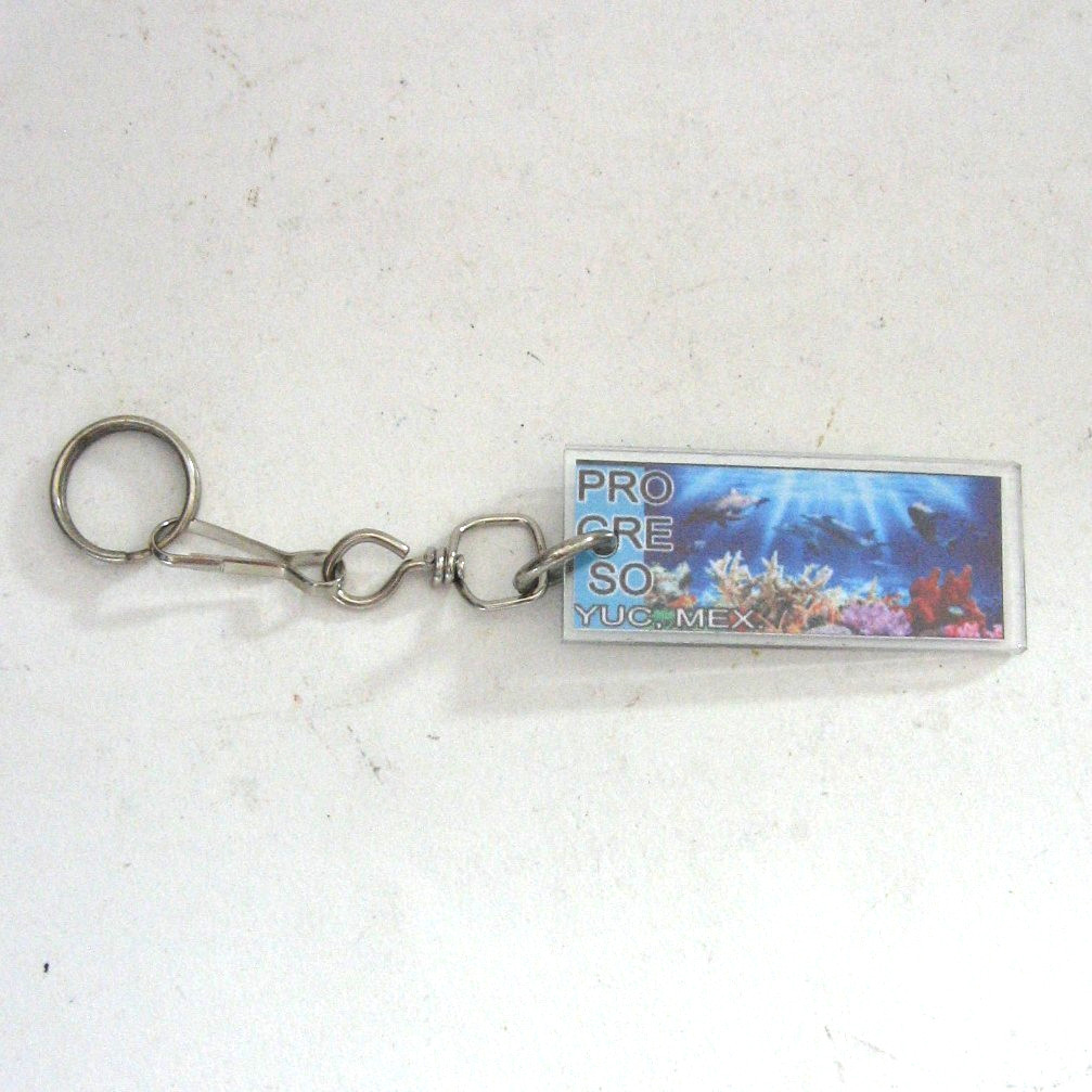 Progreso Souvenir Keychain Swimming Dolphins Yucatan Mexico Multicolor New
