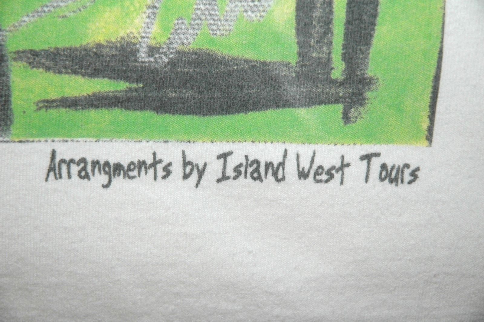 KEY WEST PUB CRAWL T SHIRT Rare Tee FLORIDA KEYS Artwork ART Tourist COLORFUL
