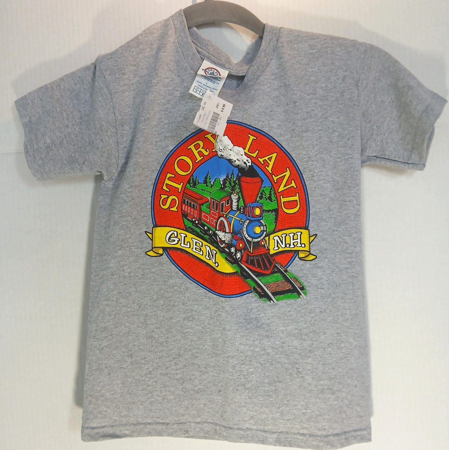 STORY LAND New Hampshire KIDS small T-Shirt White Mountains NH Gray S Child Tee