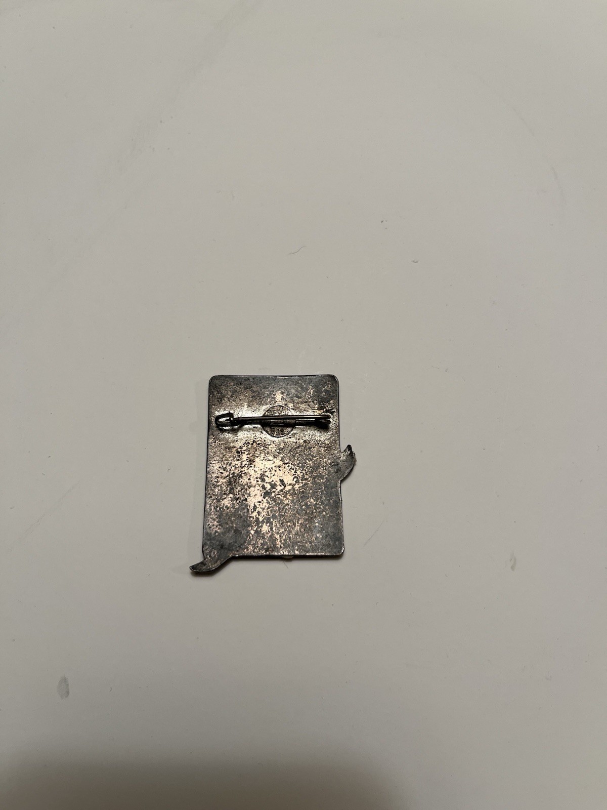 Germany Third Reich 1934 Berchtesgaden Herr, SA and SS Ski Competition Badge