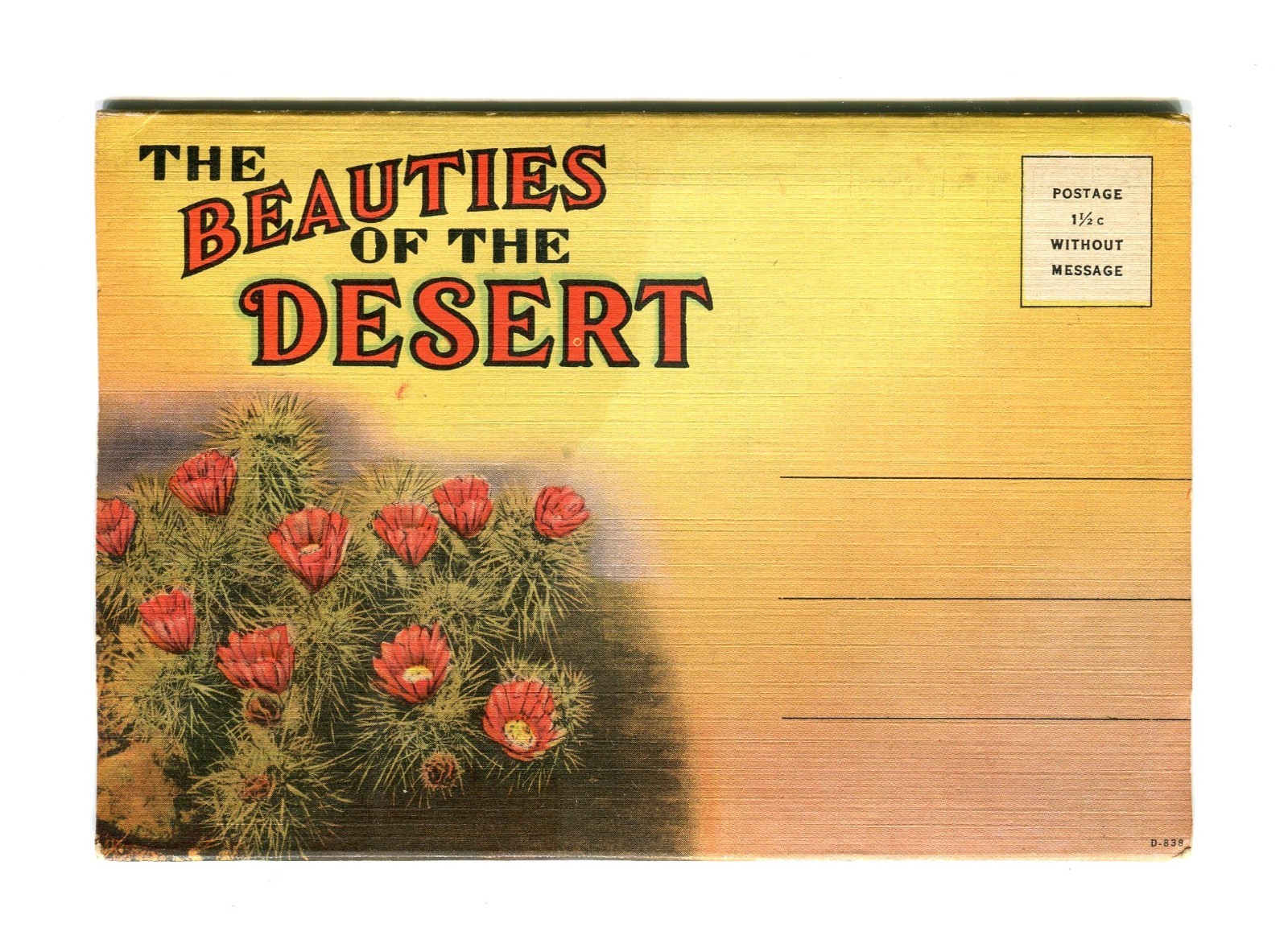Vintage Souvenir Folders and View Booklets Lot of 20 diff ca 1910s–1950s Bargain